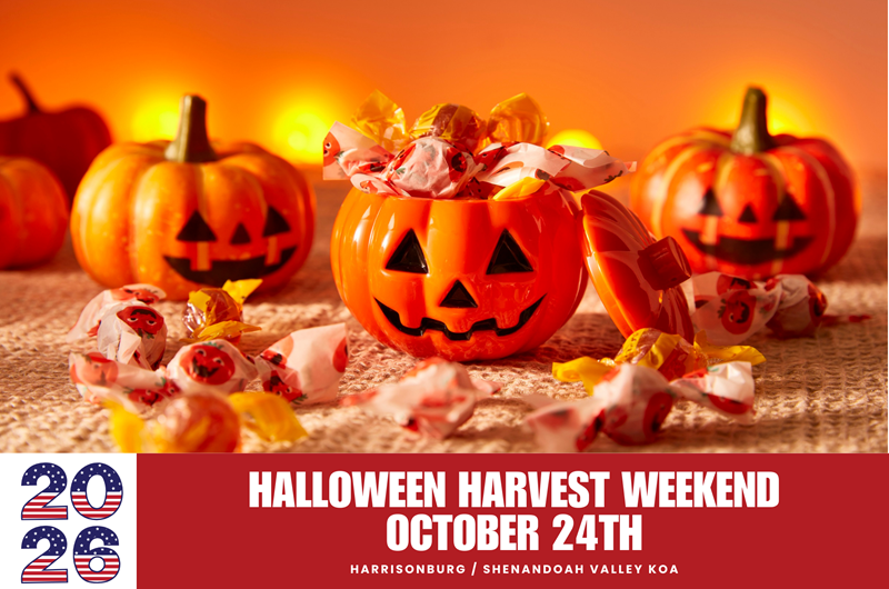 Halloween Harvest Photo