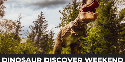 Dinosaur Discovery Weekend