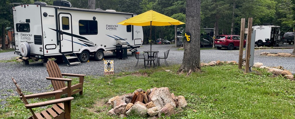 BeeHive TT lodge
