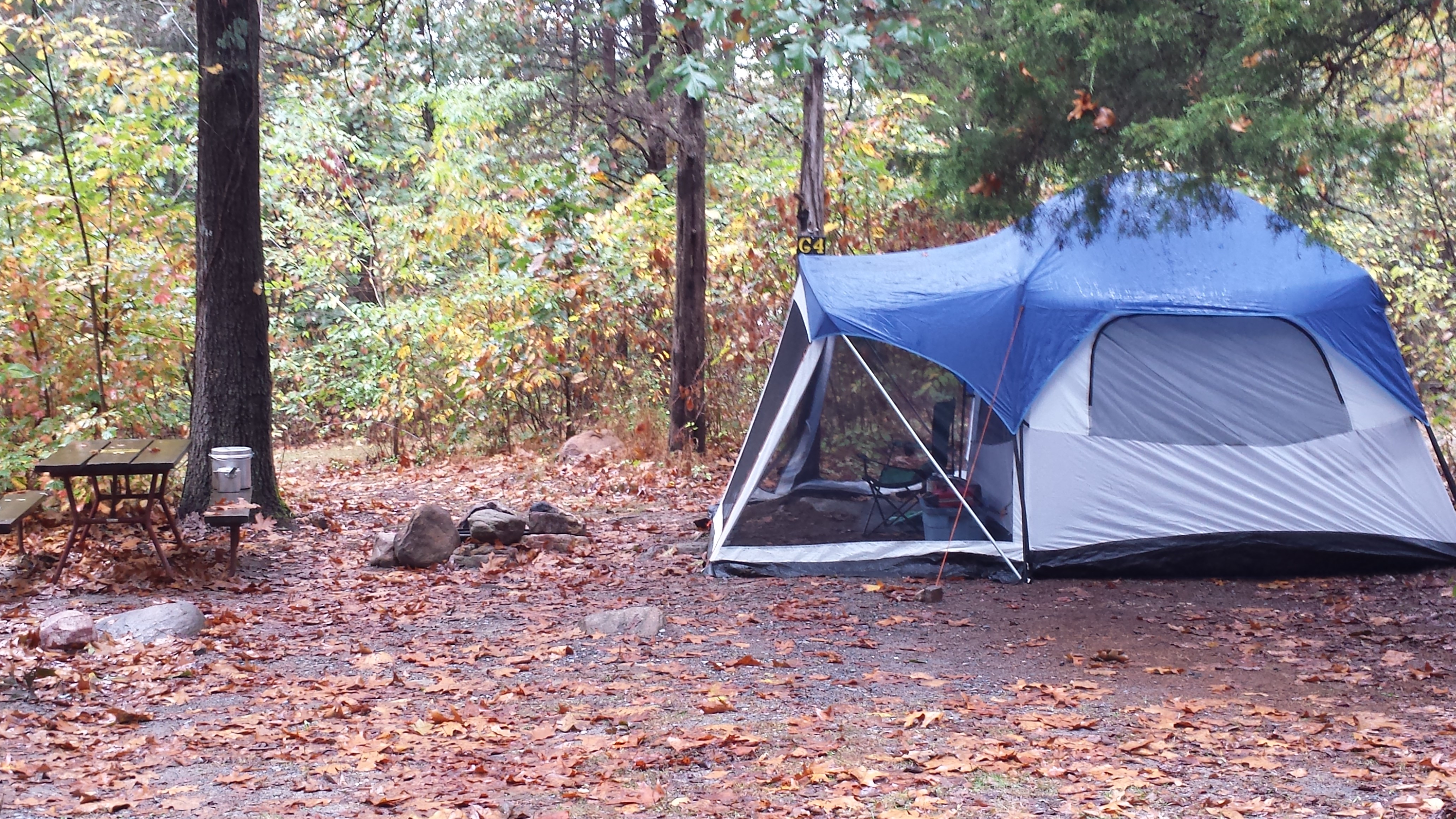 Harrisonburg Shenandoah Valley KOA  tent sites.
Tent site G4