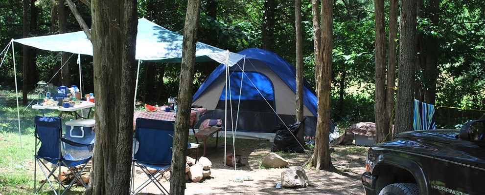 Tent site