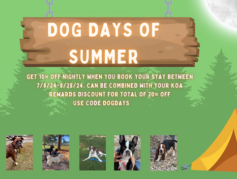 Dog Days of Summer up to 20% off Photo