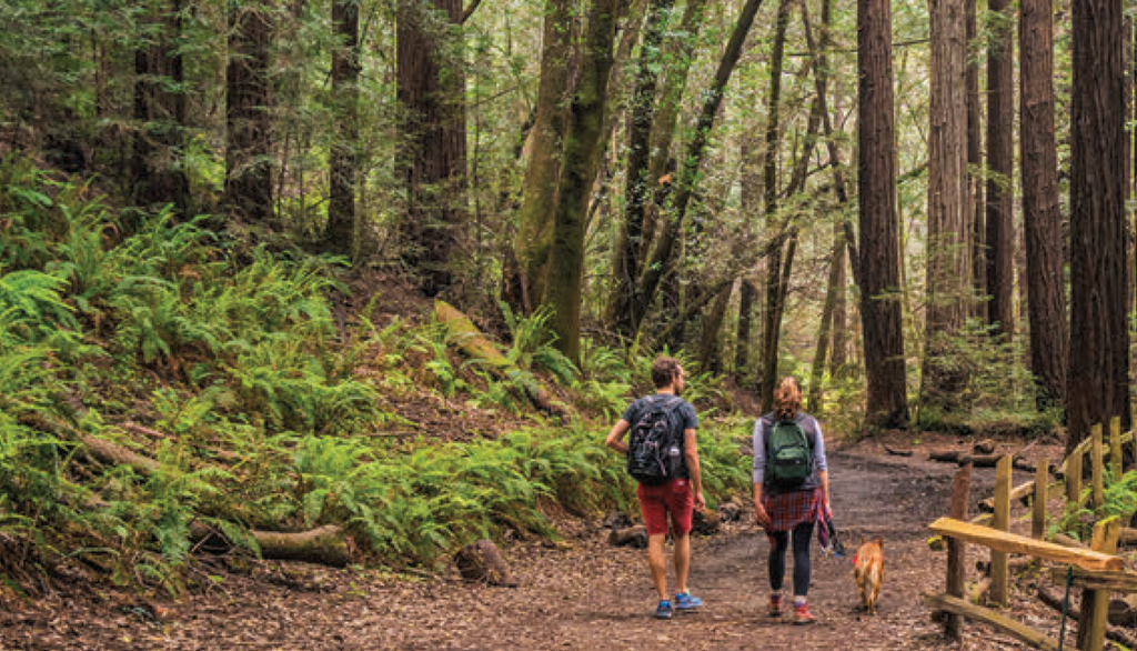 11 Hiking Trails Near Hayward KOA