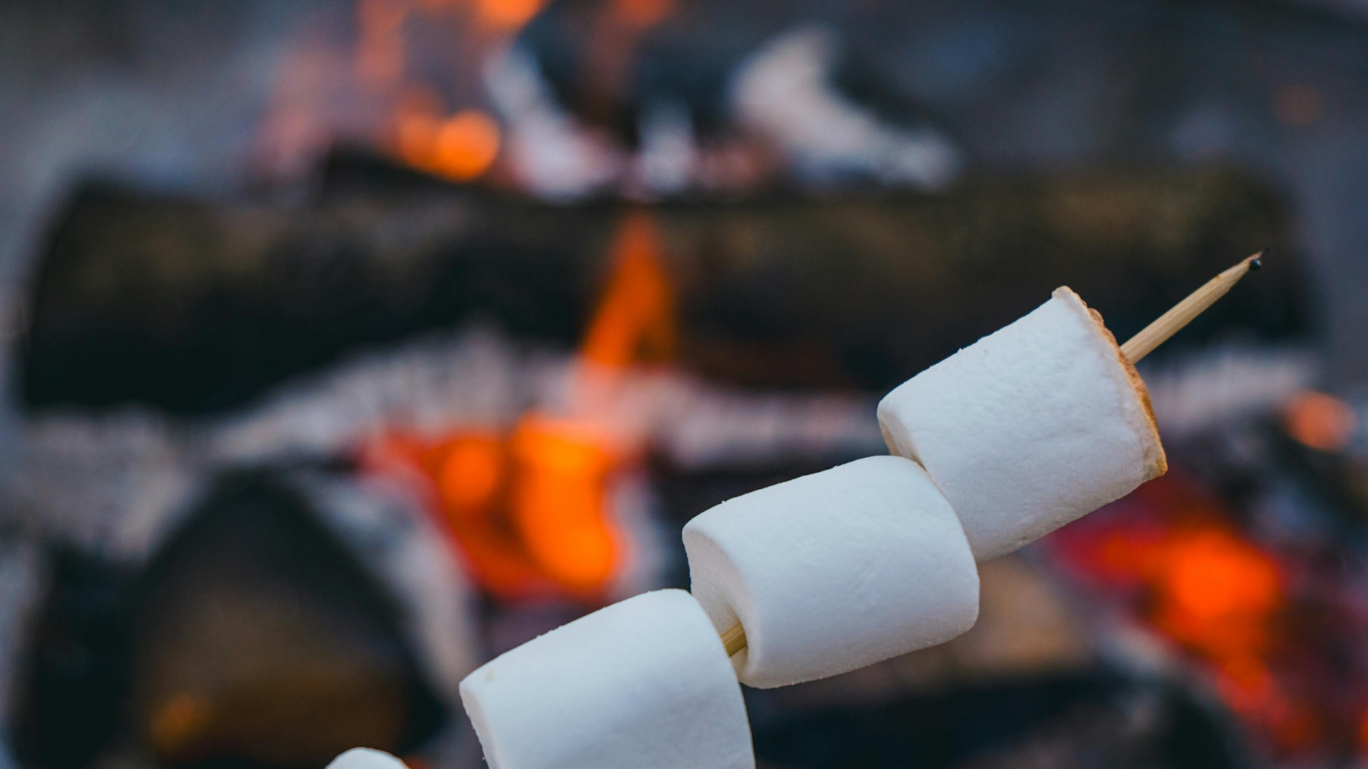 Northwoods Campfire Classics Photo