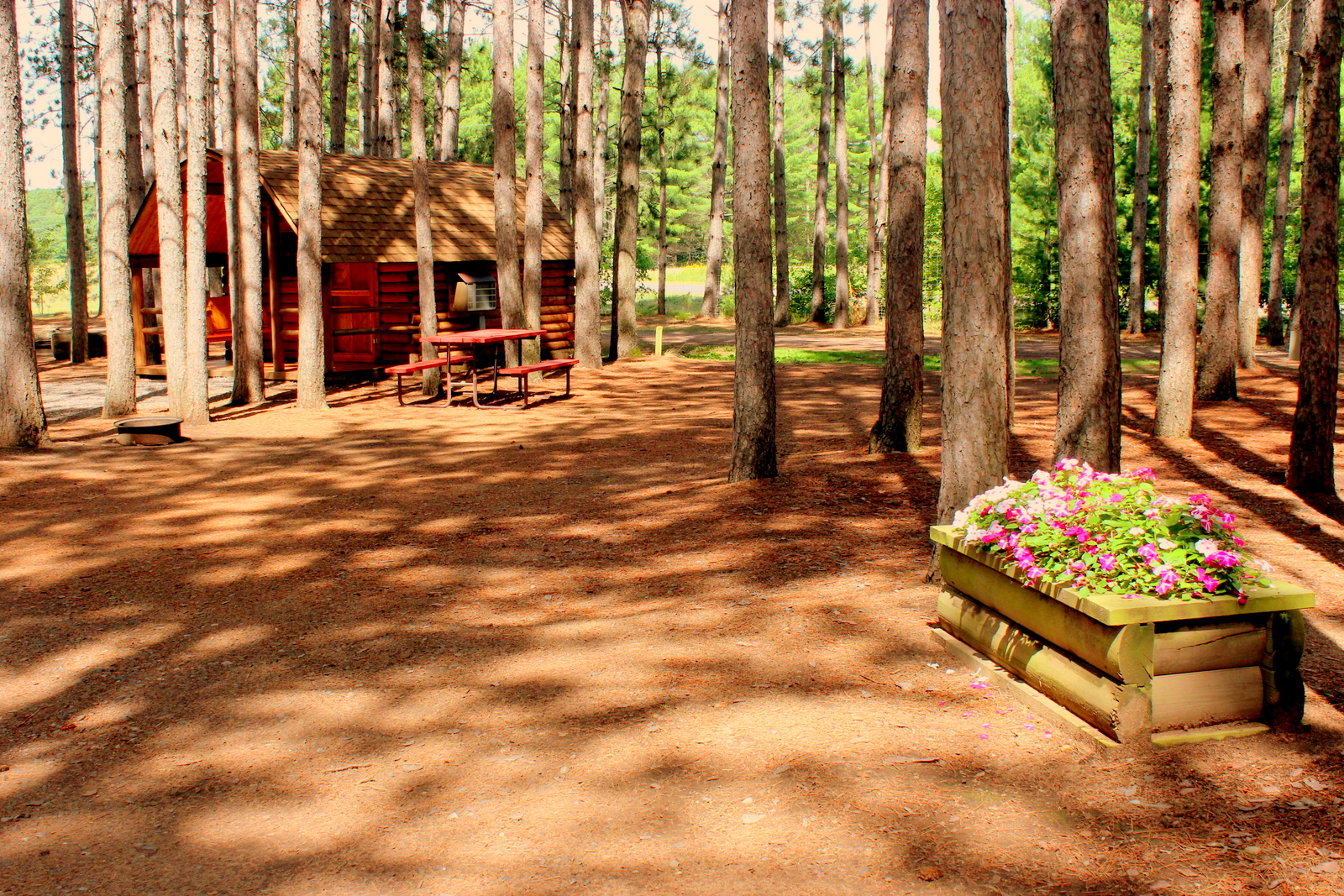 Our beautiful, clean RV sites accommodate every type of camper.  Back-ins, pull-throughs, full hookups or water/electric.  All are family ready with picnic tables, fire rings and the north-woods setting.  Choose your site today!