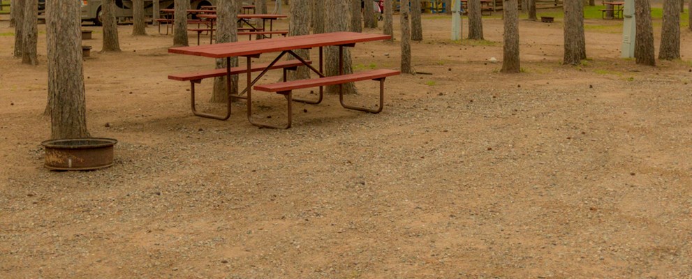 Our beautiful, clean RV sites accommodate every type of camper.  Back-ins, pull-throughs, full hookups or water/electric.  All are family ready with picnic tables, fire rings and the north-woods setting.  Choose your site today!