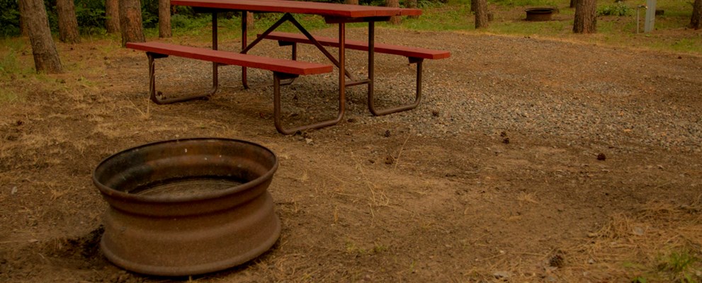 Our beautiful, clean RV sites accommodate every type of camper.  Back-ins, pull-throughs, full hookups or water/electric.  All are family ready with picnic tables, fire rings and the north-woods setting.  Choose your site today!