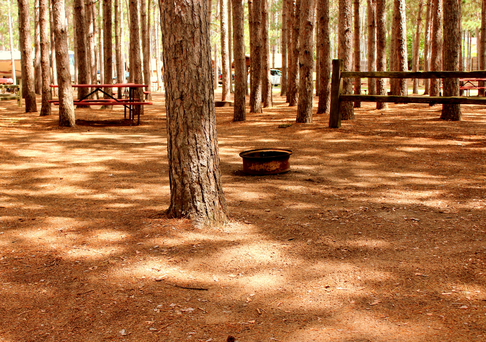 Sleeping under the stars and pines!  Our tent sites are wonderful.  Each comes with a picnic table, fire ring and most have easy access to our community camping kitchen with sinks and stove tops.  Deluxe tent sites include crushed sand pads and electric hookups.  Come find your special spot in the beautiful Northwoods.