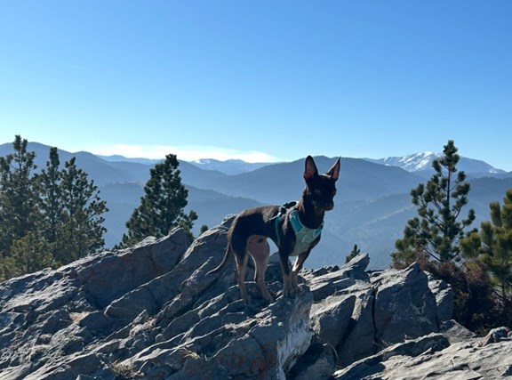 Chaco