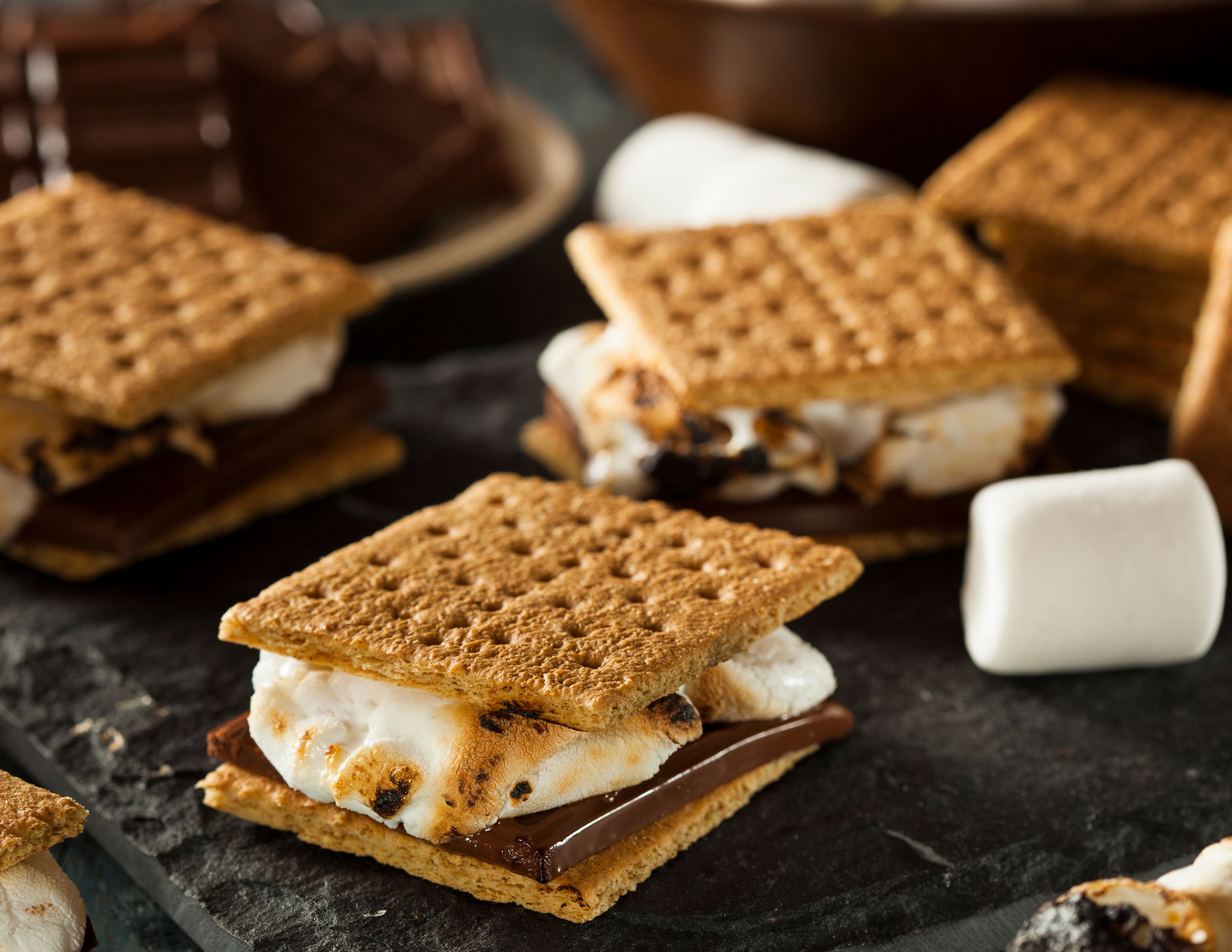 S'mores Welcome Bonfire Photo