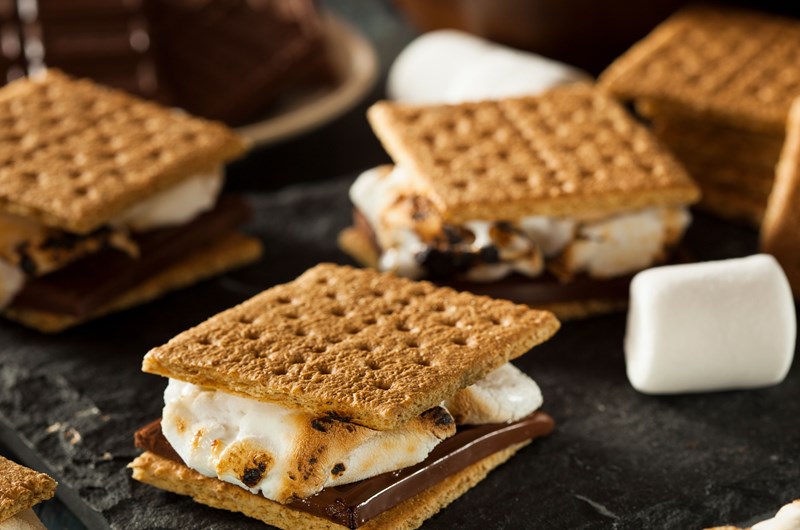 S'mores Welcome Bonfire Photo