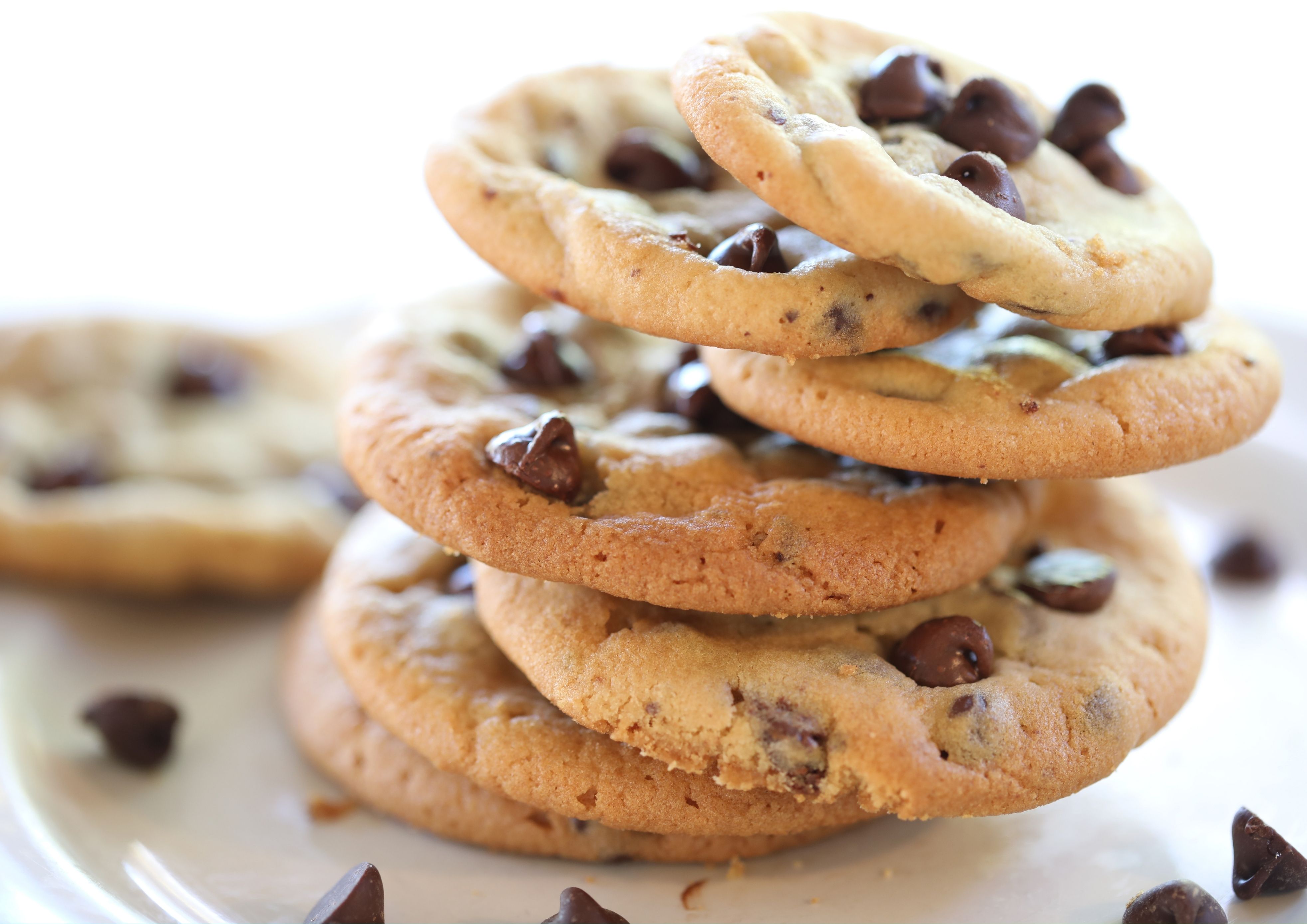 Chocolate Chip Excavation Photo