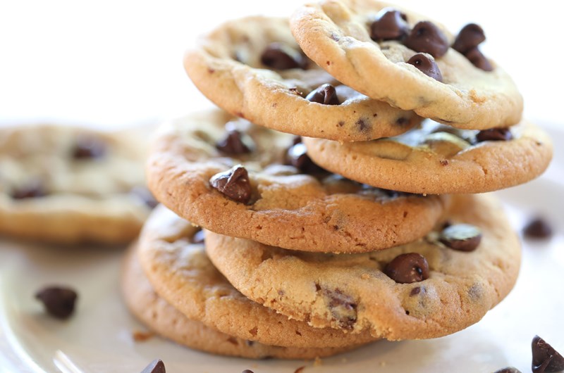 Chocolate Chip Excavation Photo