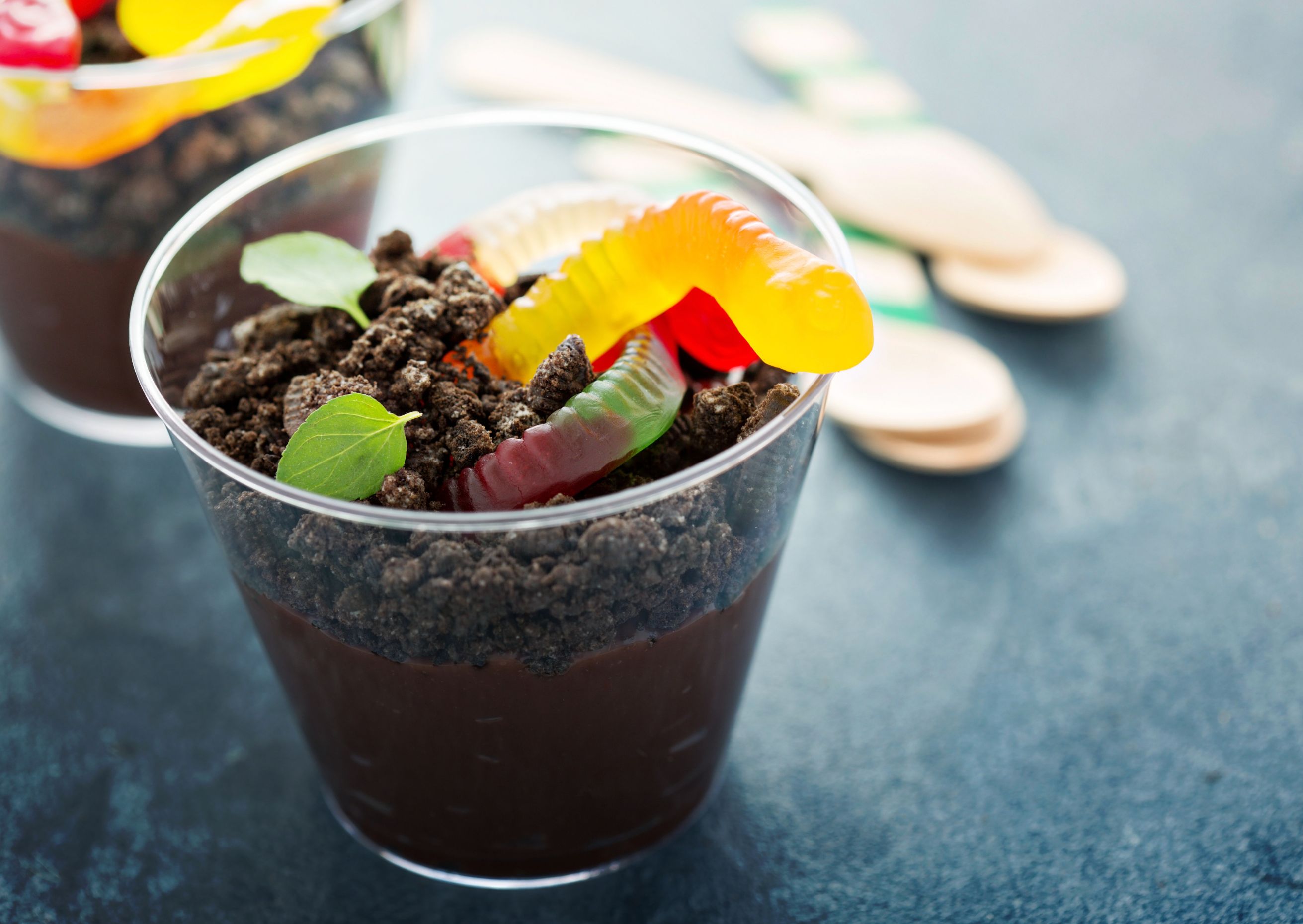 Dirt & Worms Photo