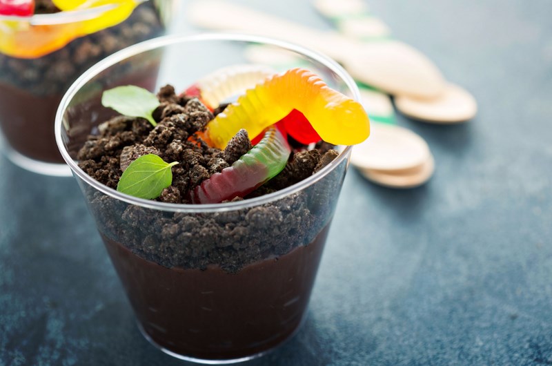Dirt & Worms Photo