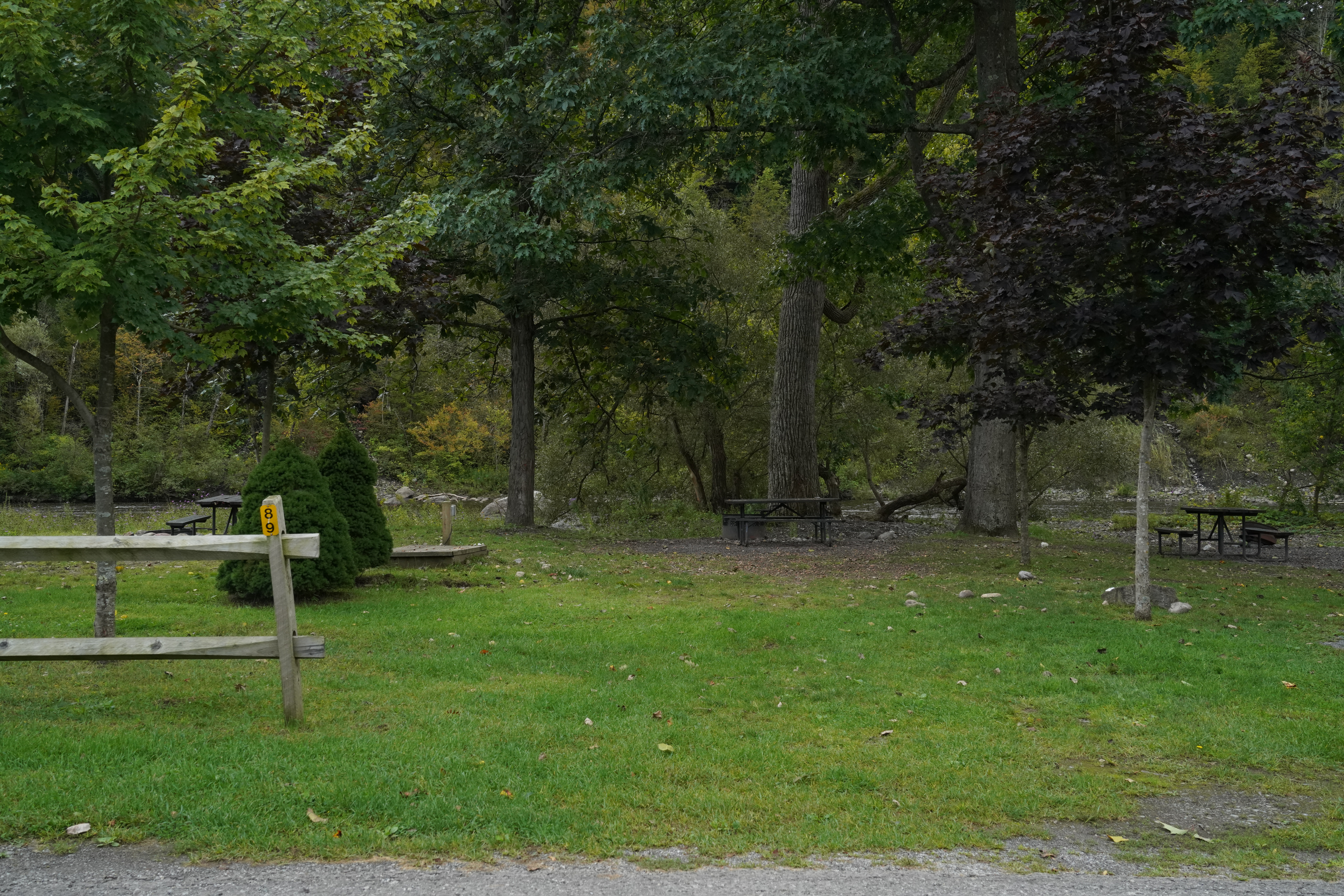 #T-89 - Basic Creekside Tent Site