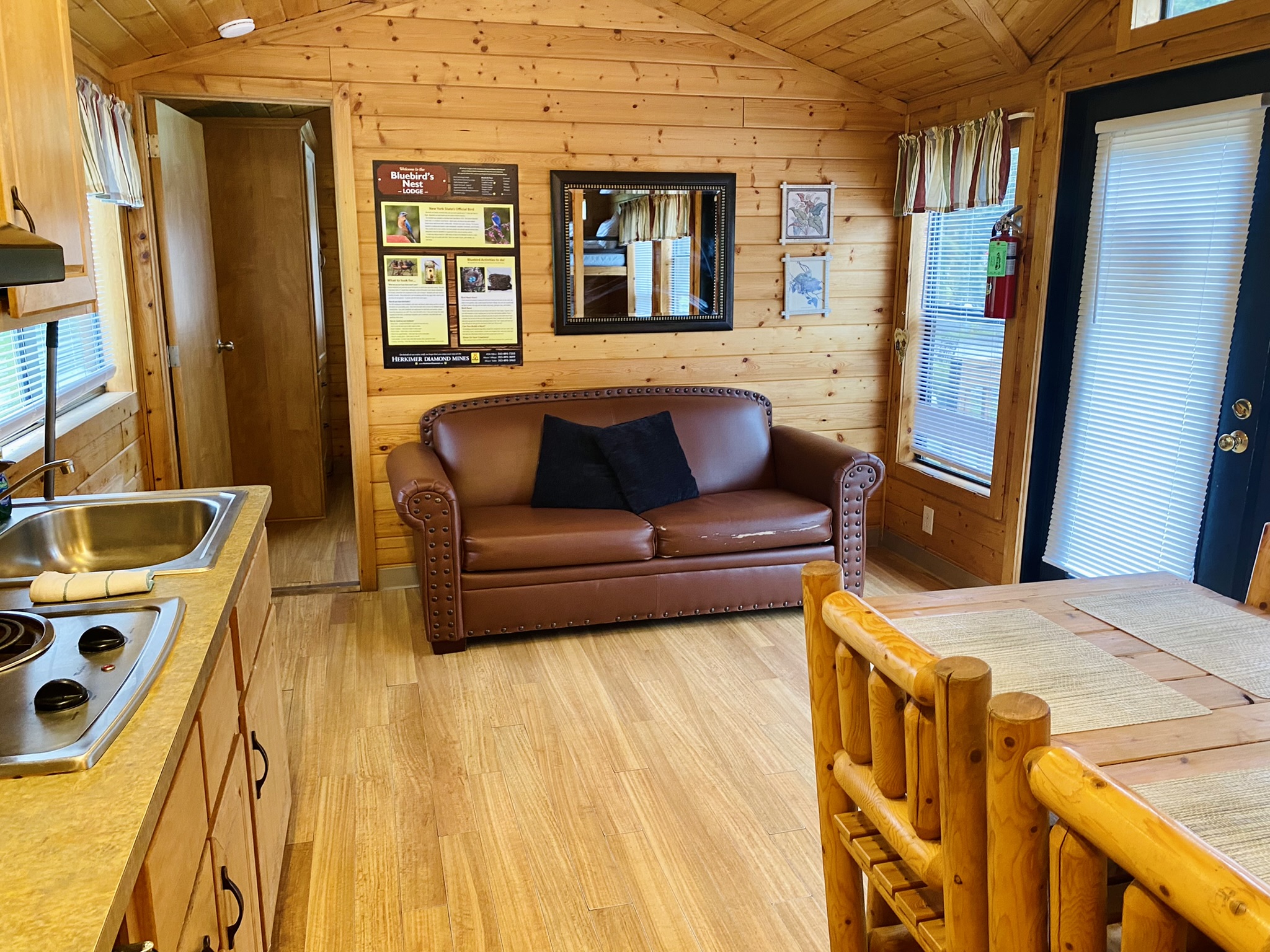 #17-  Bluebird's Nest - Living Area