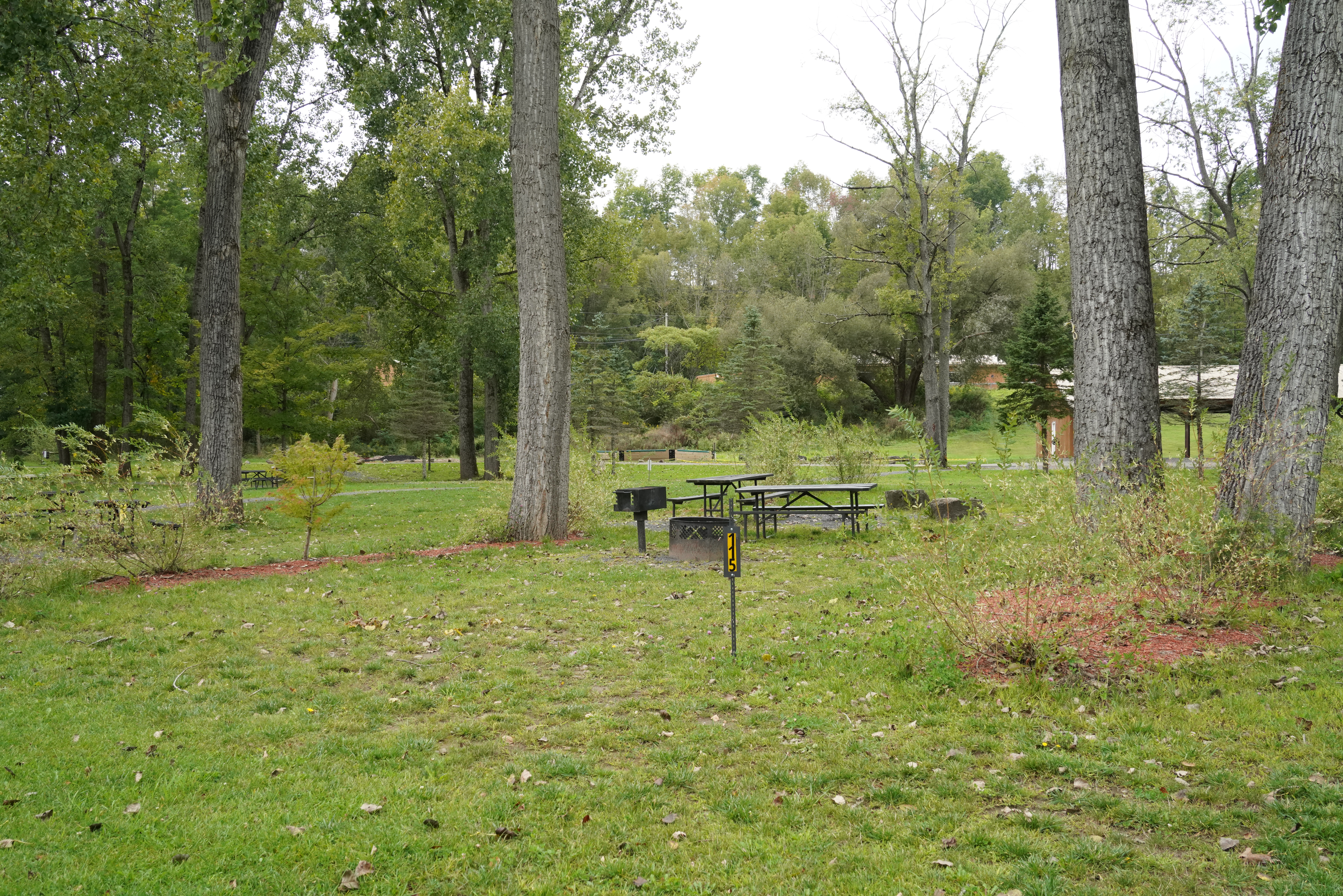 #T-115 - Deluxe Tent Site
