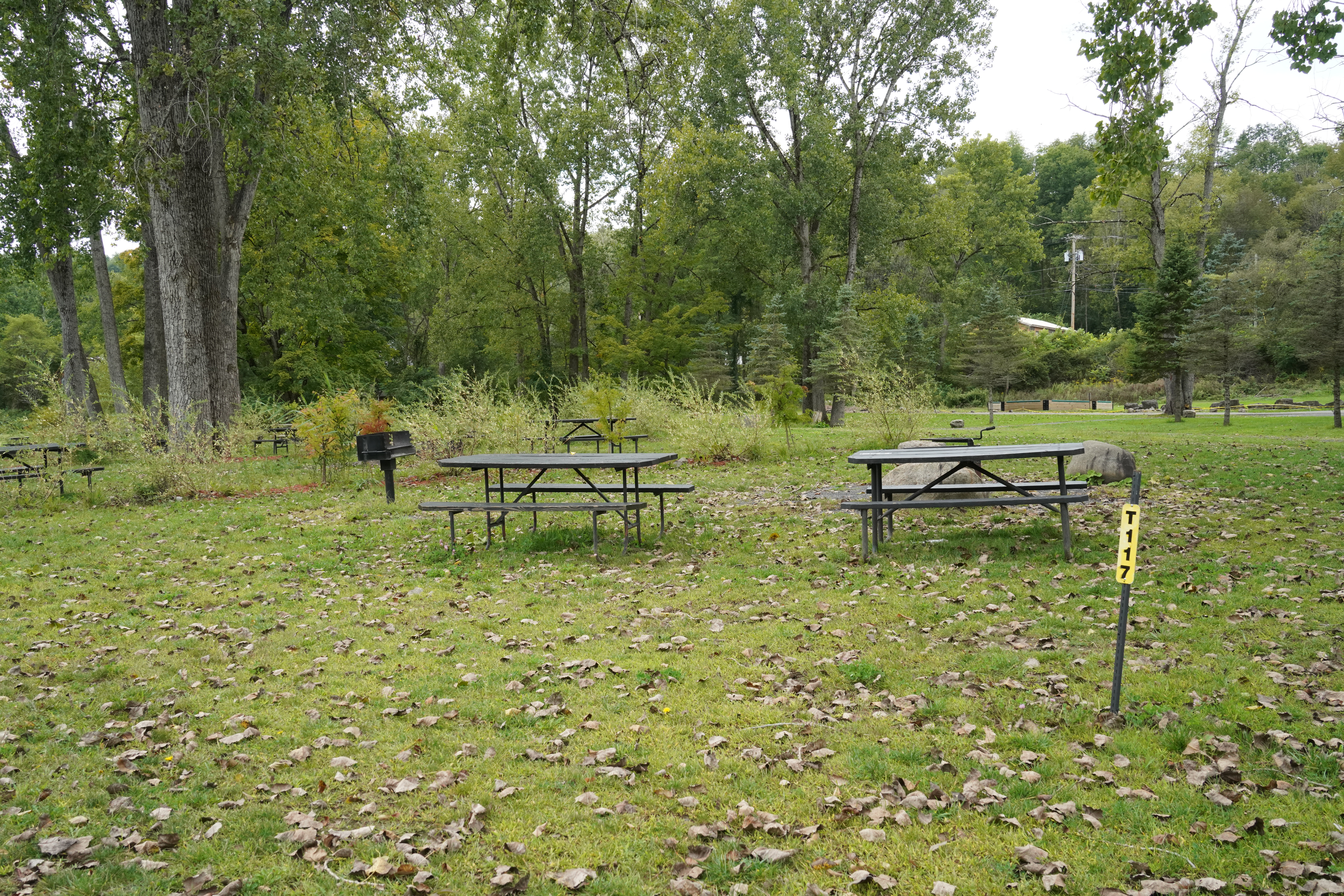 #T-117 - Deluxe Tent Site