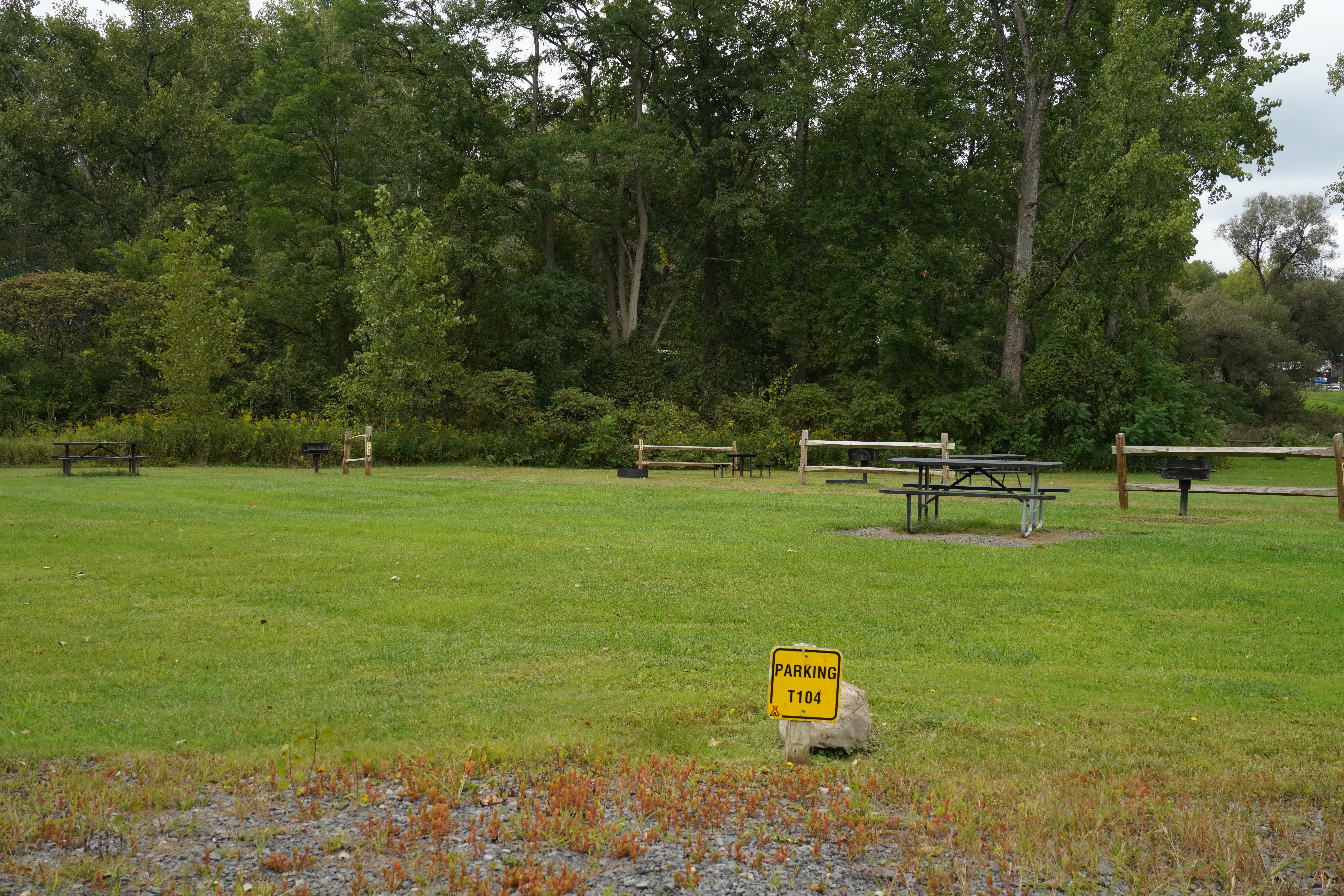 #T-104 - South Treasure Cove Tent Site