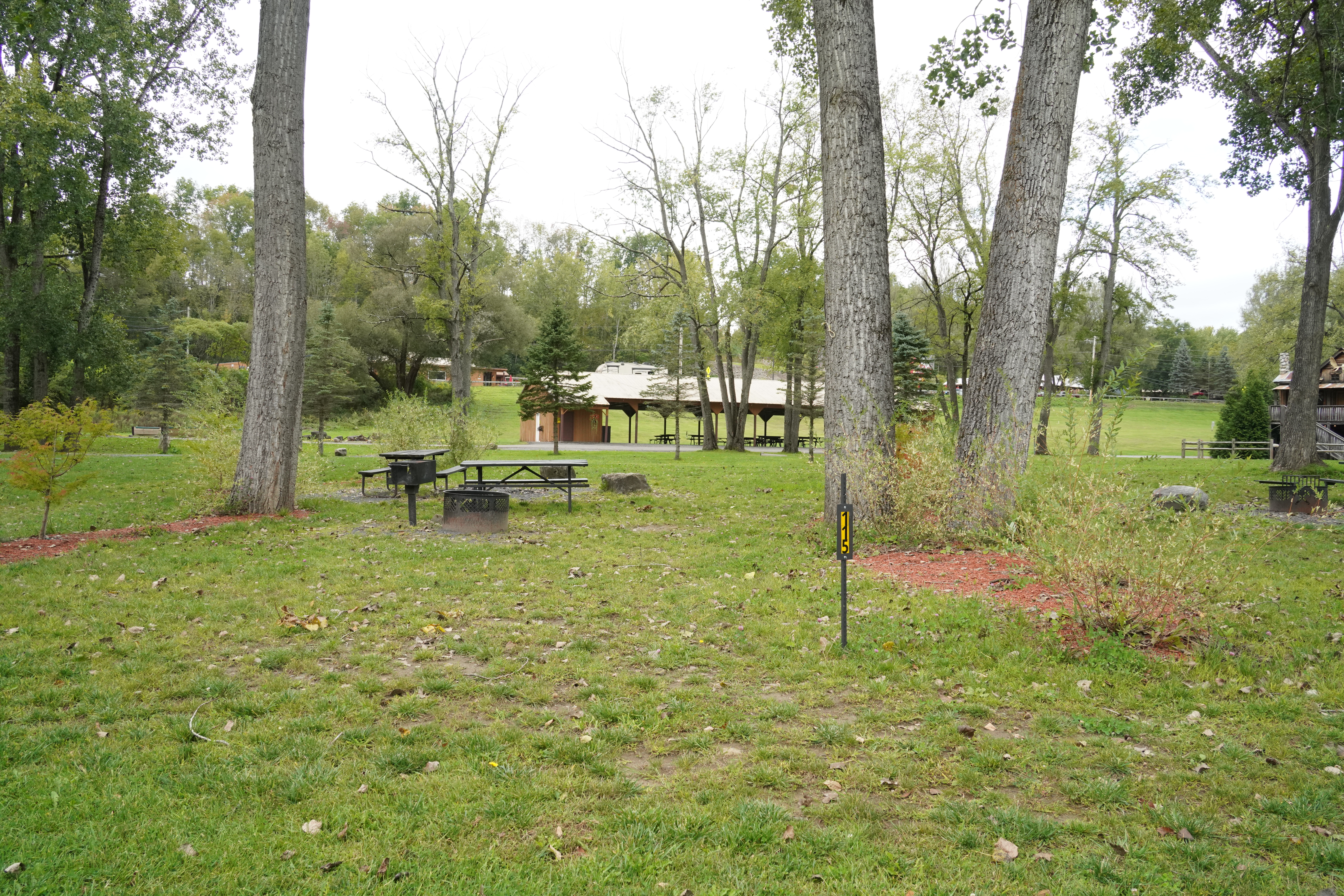 #T-115 - Deluxe Tent Site