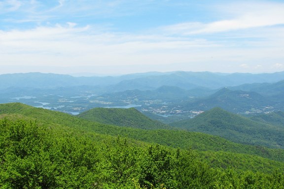 Brasstown Bald
