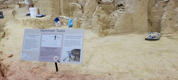 The Mammoth Site at Hot Springs