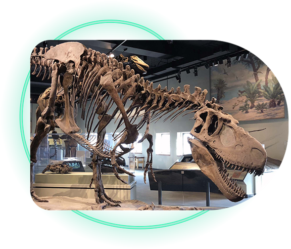 The Museum at Black Hills Institute