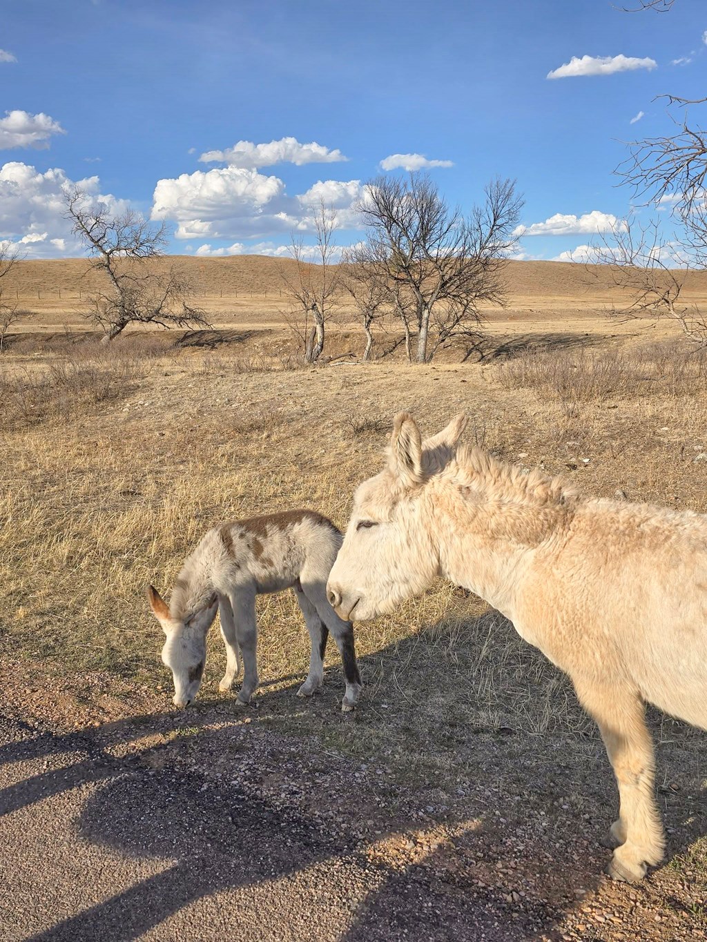 The Perfect Mother's Day Getaway in the Black Hills