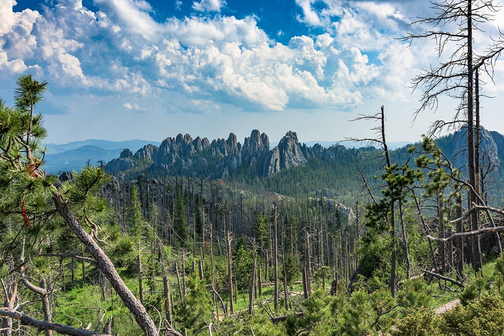 See Much More Than Mount Rushmore on a Trip to South Dakota