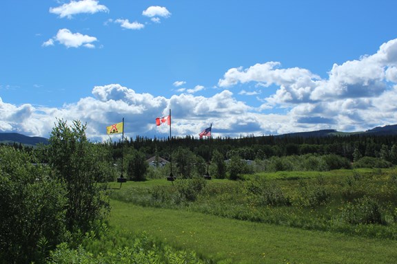 Dog walk park