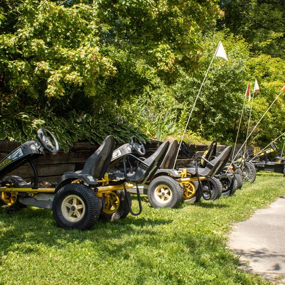 BIKE RENTALS ($)
