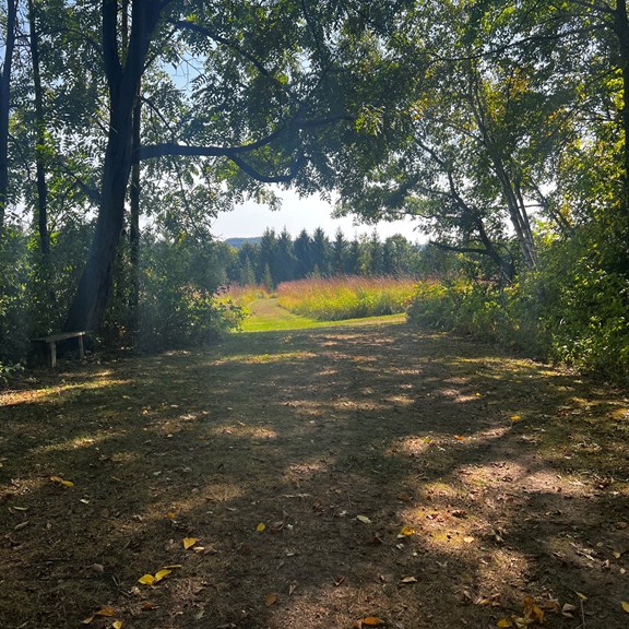 HIKING TRAILS