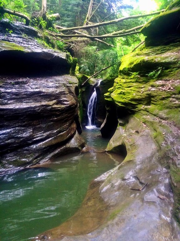 Boch Hollow Nature Preserve