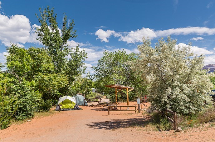 Tips For Camping With Summer Heat