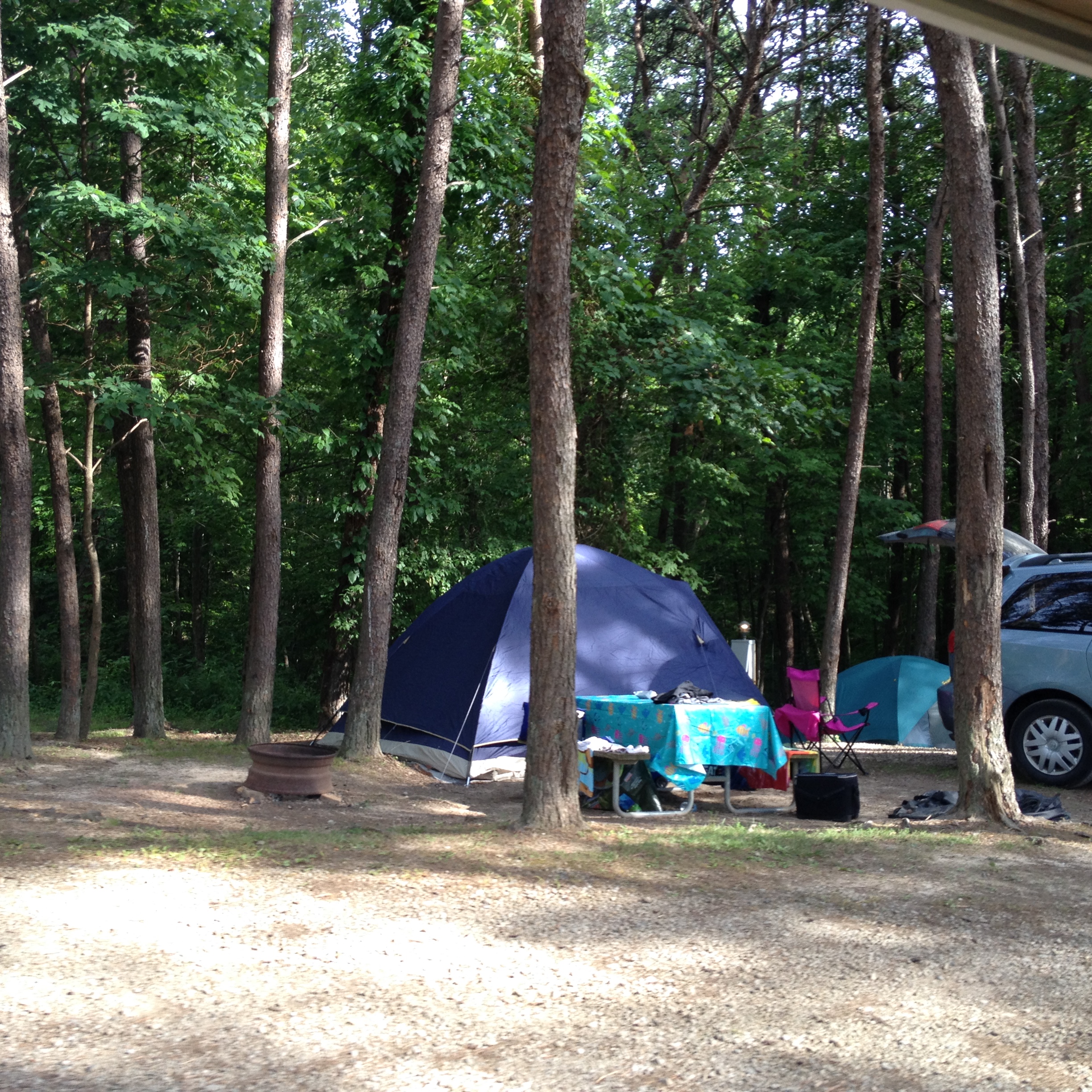 Wooded tent site with electric