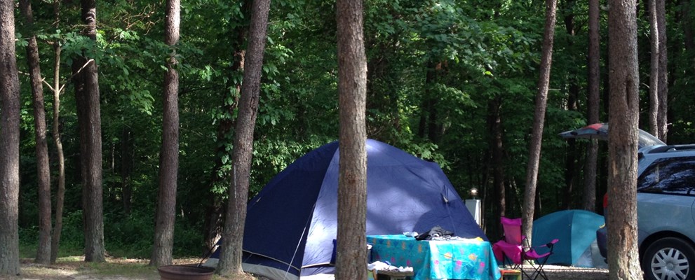 Wooded tent site with electric