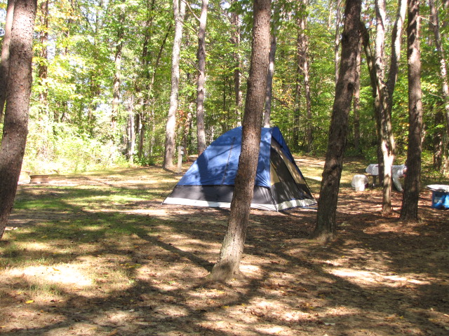 Electric Tent Site