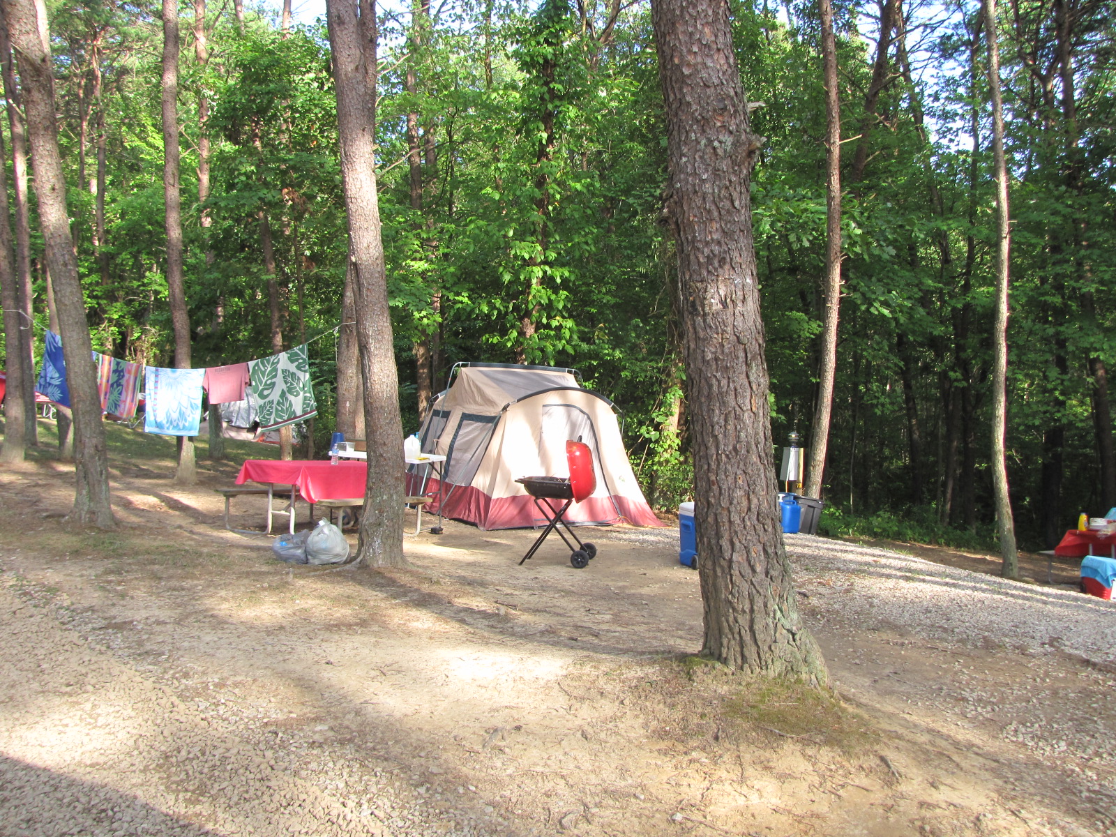 Electric Tent Site