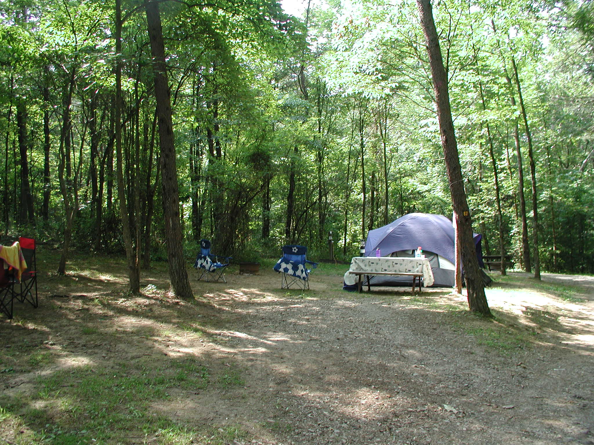 Electric Tent Site