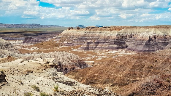 Painted Desert