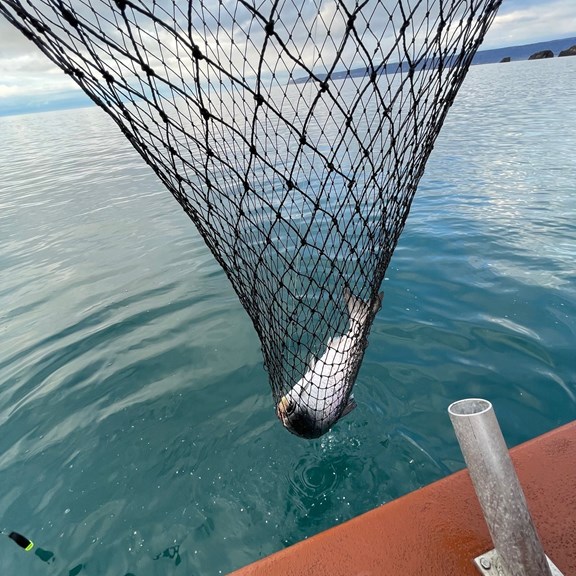 Inlet Charters