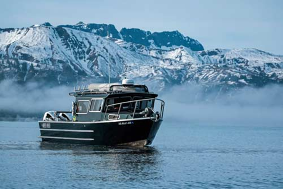 Bear watching tours by boat