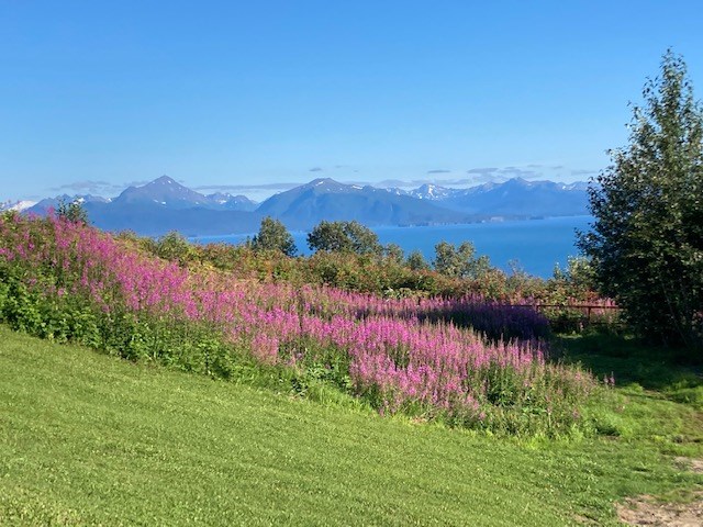 Beauty surrounds us at the Homer Baycrest KOA