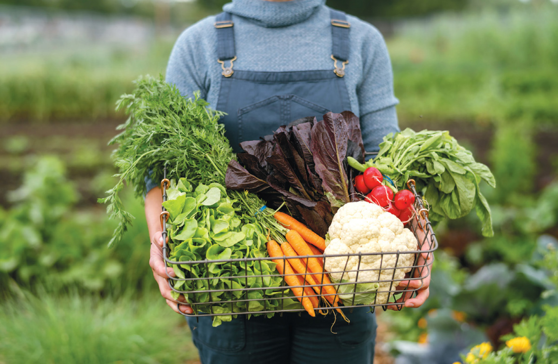 Homer Farmer's Market Photo