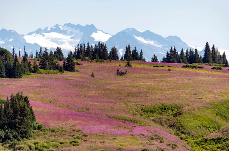 Take a Hike! Photo