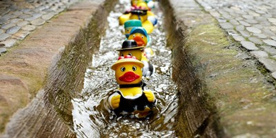 JULY 31 TO AUGUST 3 HONESDALE DUCK DERBY