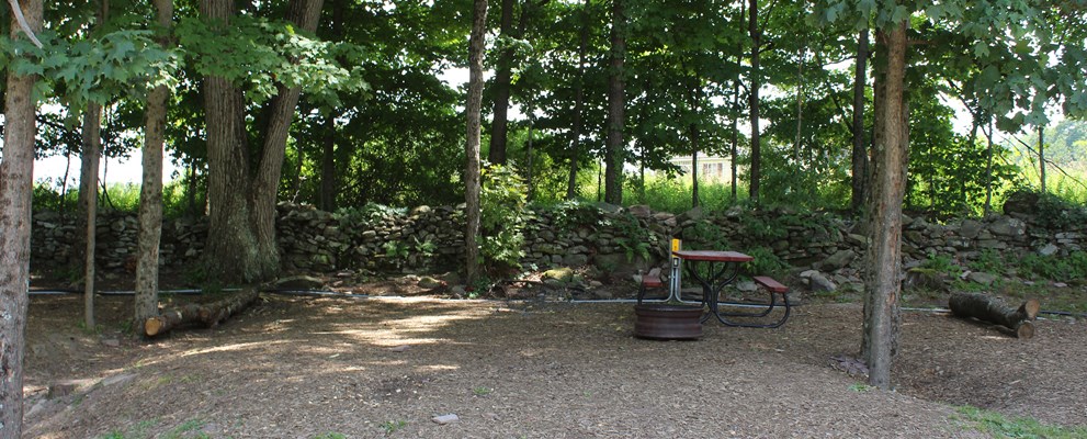 Water/Electric Tent Sites