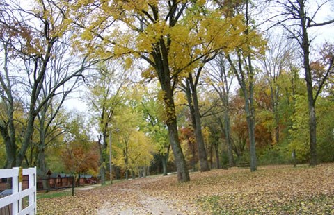 View of lower level sites