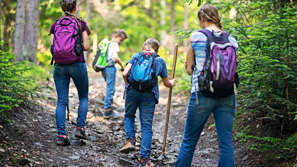 Best Hiking Trails Near Hot Springs National Park KOA